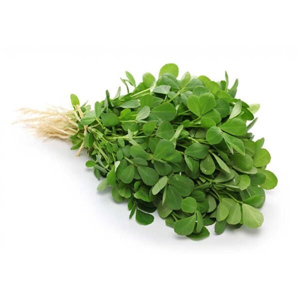 Fenugreek